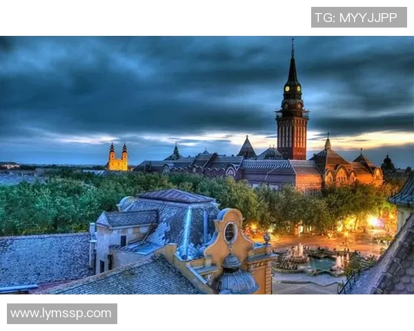 2019年德国与塞尔维亚精彩对决回放全景分析与精彩瞬间重温